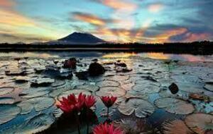 reprise des cours le 15/09/2025