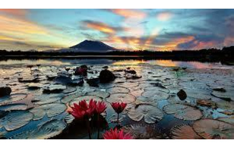 bulletin d' inscription et calendrier